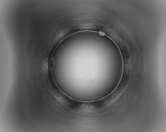 X0000116370207200912091244