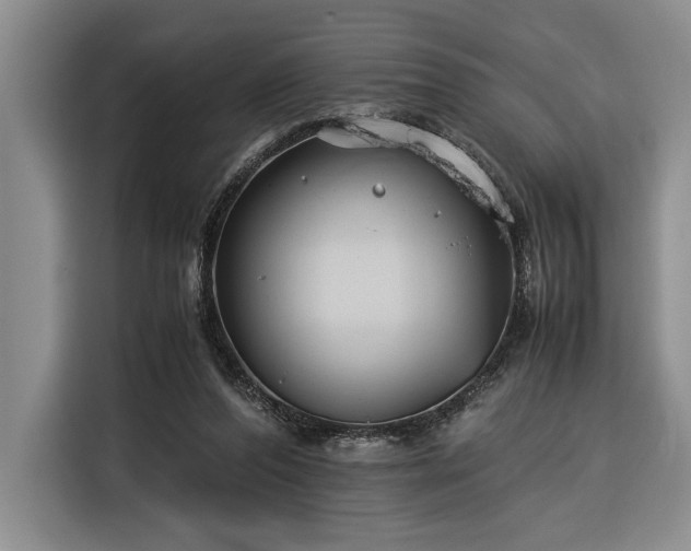 X0000116370208200912091244