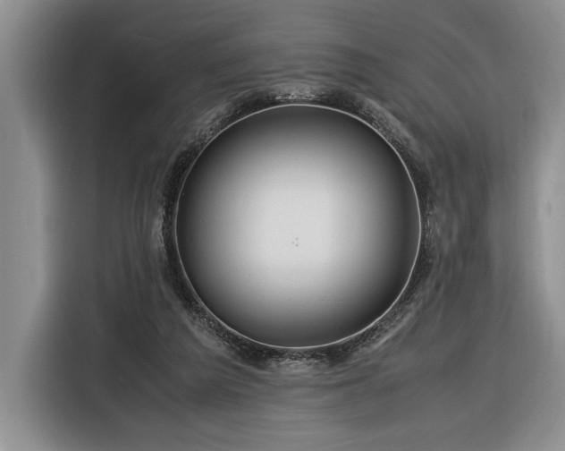 X0000116370209200912091244