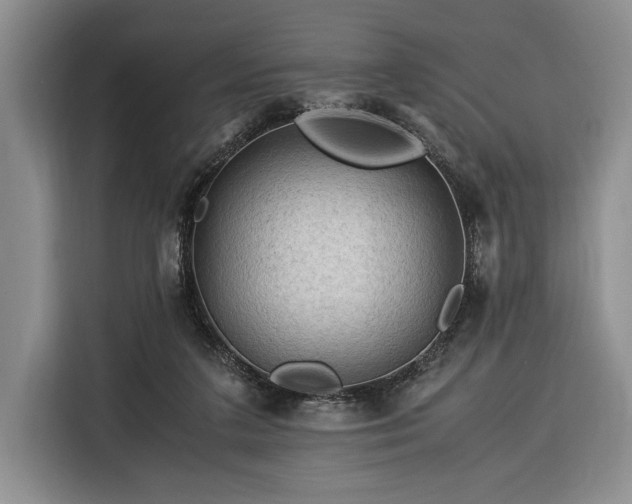 X0000116370211200912091244