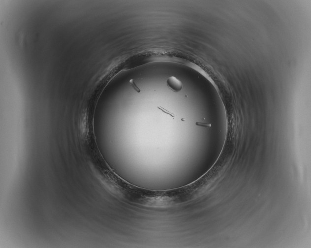 X0000116370212200912091244