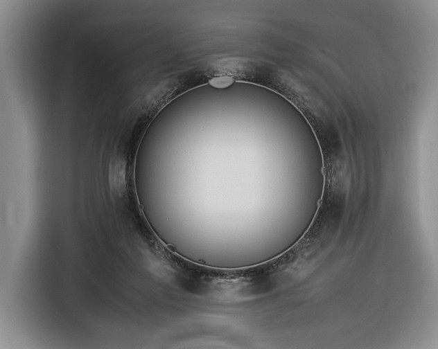 X0000116370213200912091244