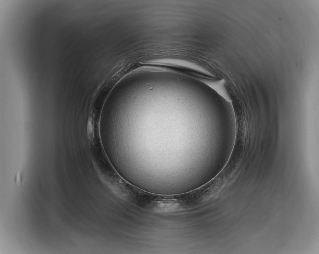 X0000116370214200912091244