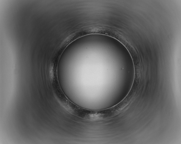 X0000116370216200912091244