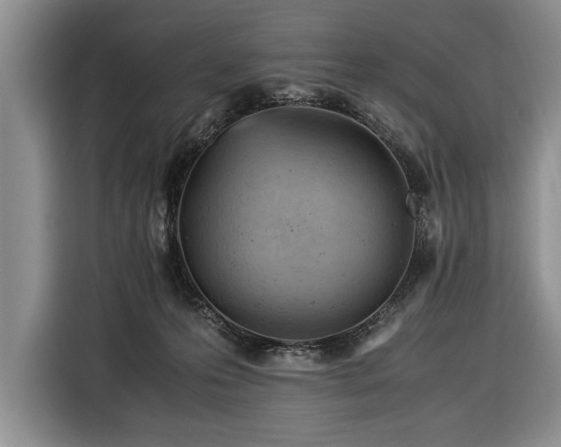 X0000116370223200912091244