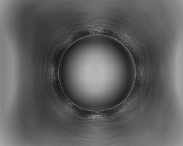 X0000116370224200912091244