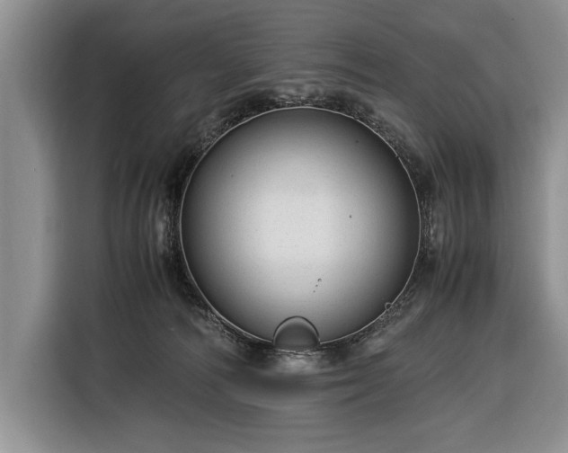 X0000116370226200912091244