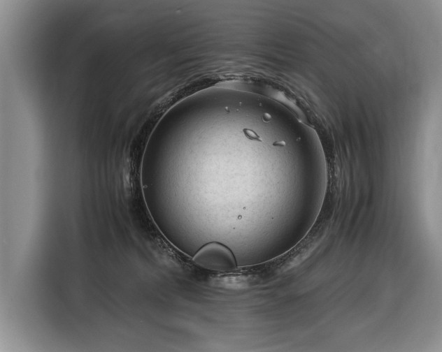 X0000116370228200912091244