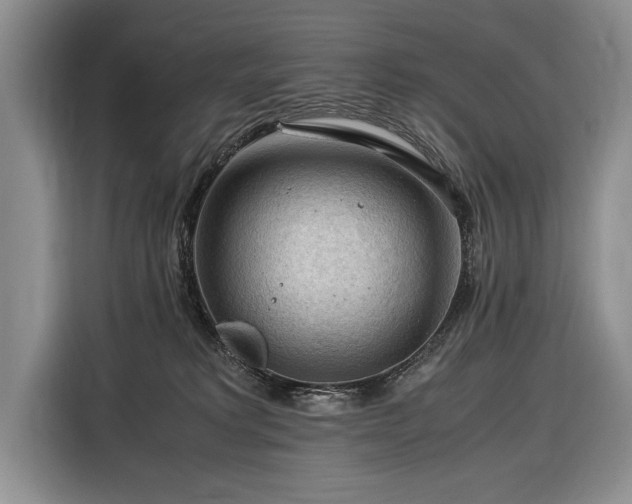 X0000116370229200912091244