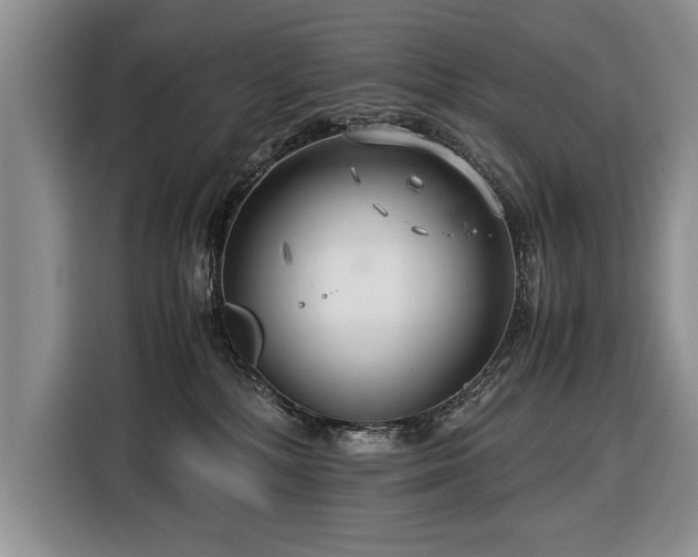 X0000116370232200912091244