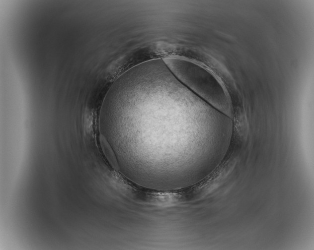 X0000116370233200912091244