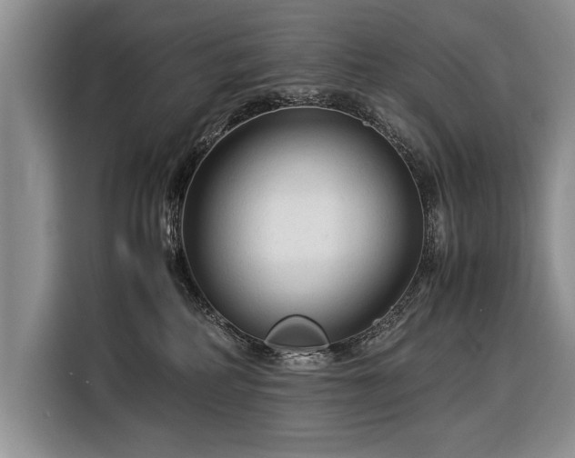 X0000116370234200912091244