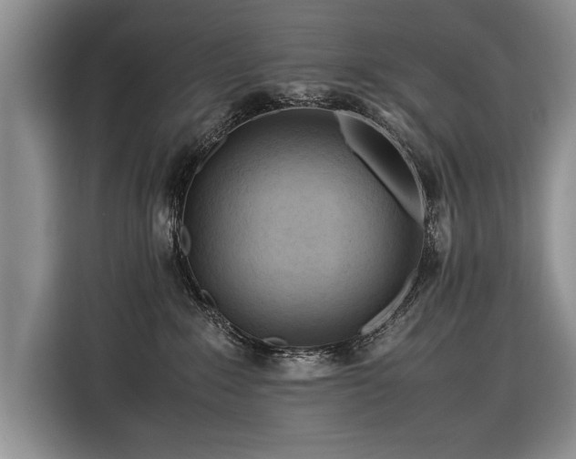 X0000116370235200912091244