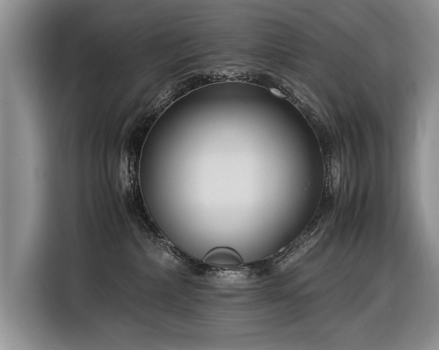 X0000116370236200912091244