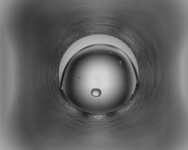 X0000116370237200912091244