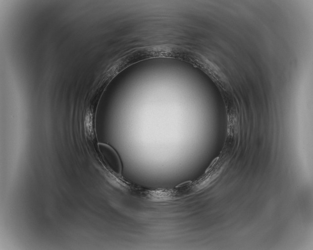 X0000116370238200912091244