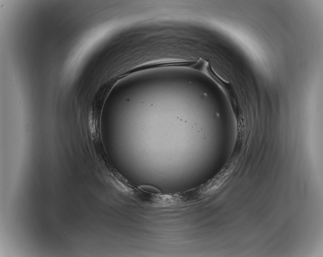 X0000116370239200912091244