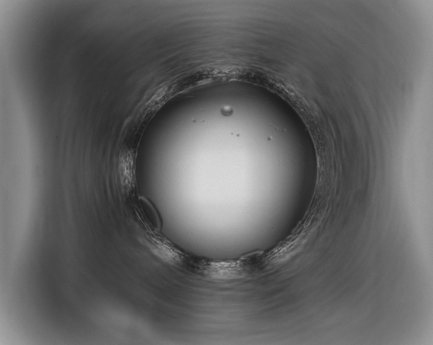 X0000116370240200912091244