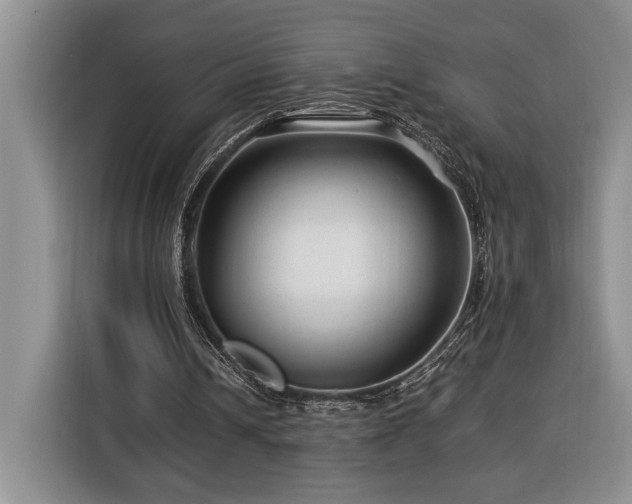 X0000116370242200912091243