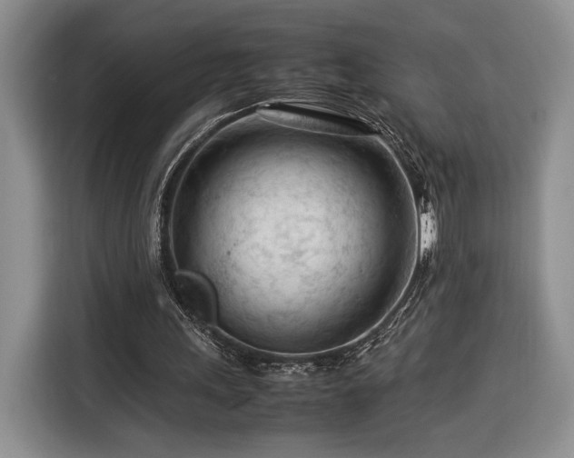 X0000116370243200912091243