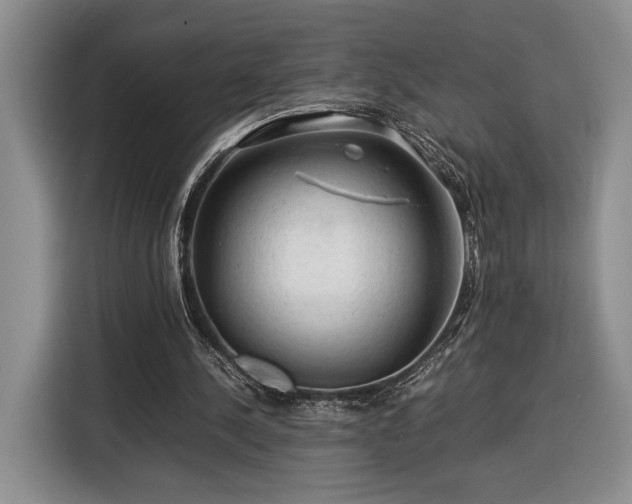 X0000116370244200912091243