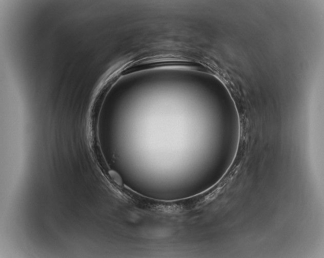 X0000116370245200912091243