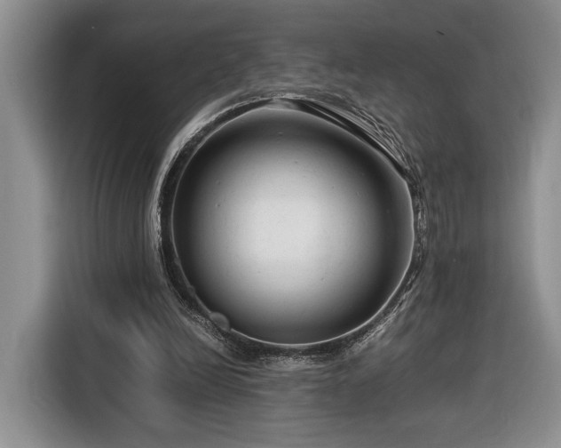 X0000116370246200912091243