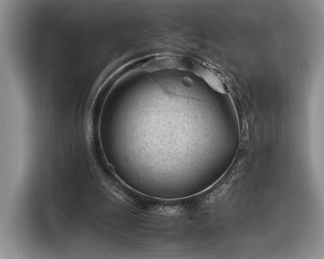 X0000116370247200912091243