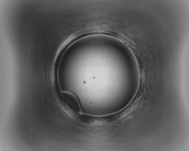 X0000116370248200912091243