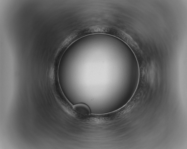 X0000116370250200912091243