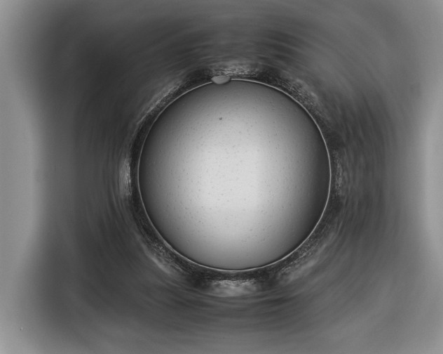 X0000116370251200912091243