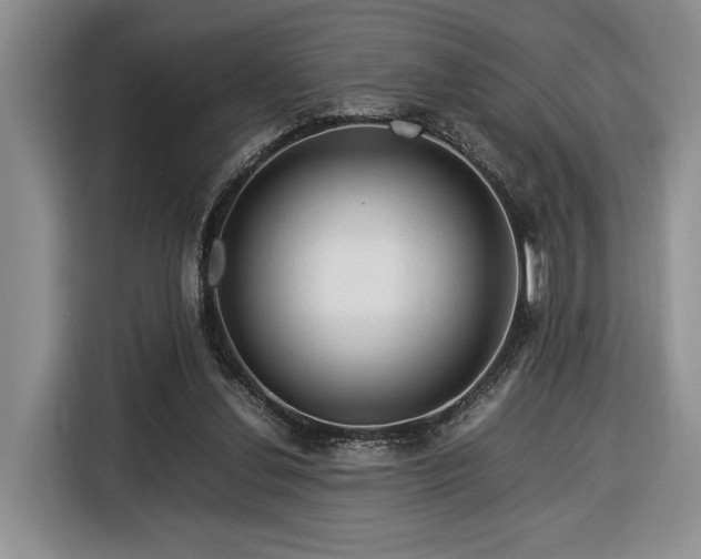 X0000116370252200912091243