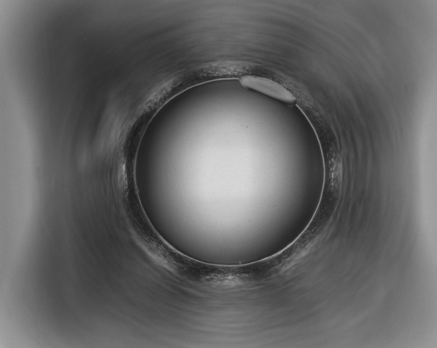 X0000116370254200912091243