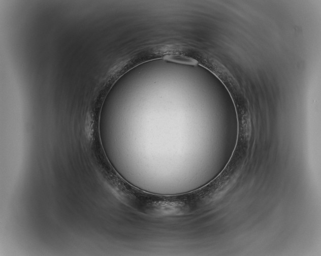 X0000116370255200912091243