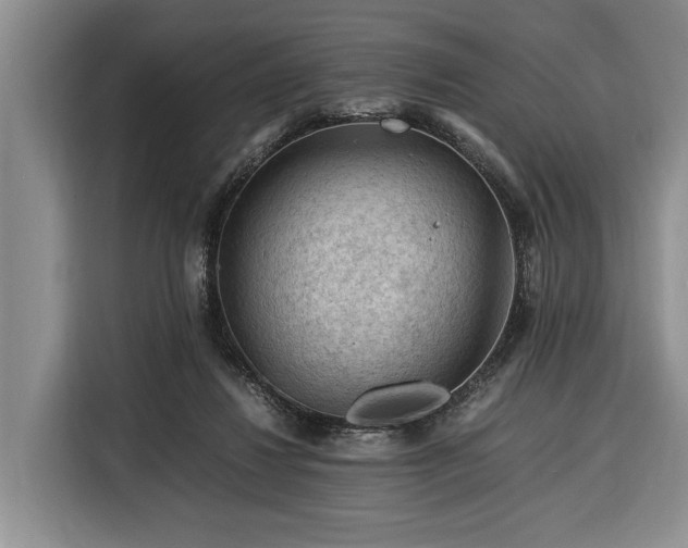 X0000116370260200912091244