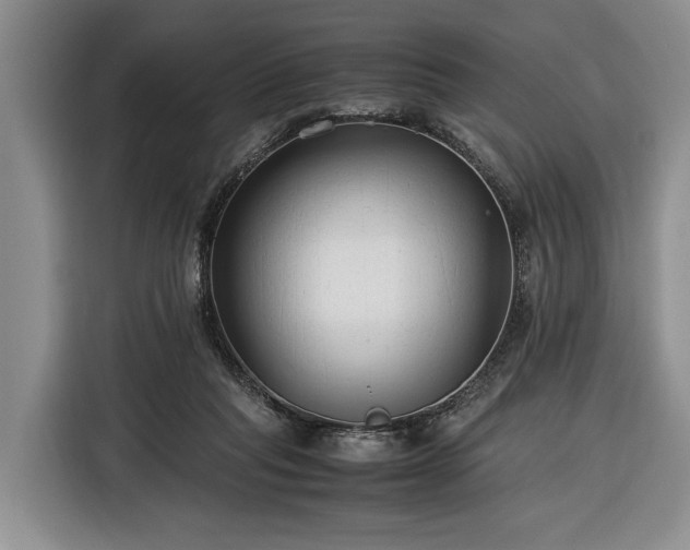 X0000116370261200912091244