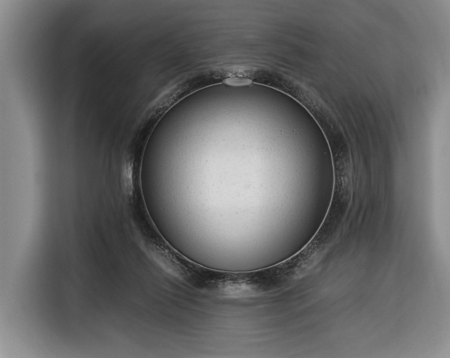 X0000116370262200912091244