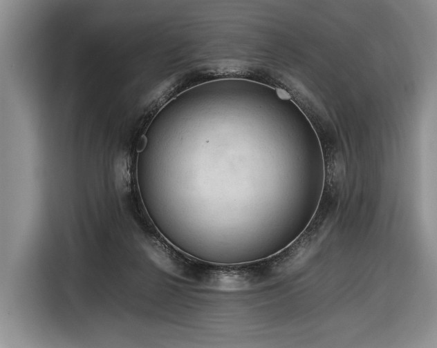 X0000116370264200912091244