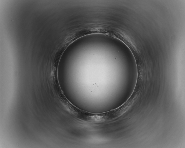 X0000116370265200912091244