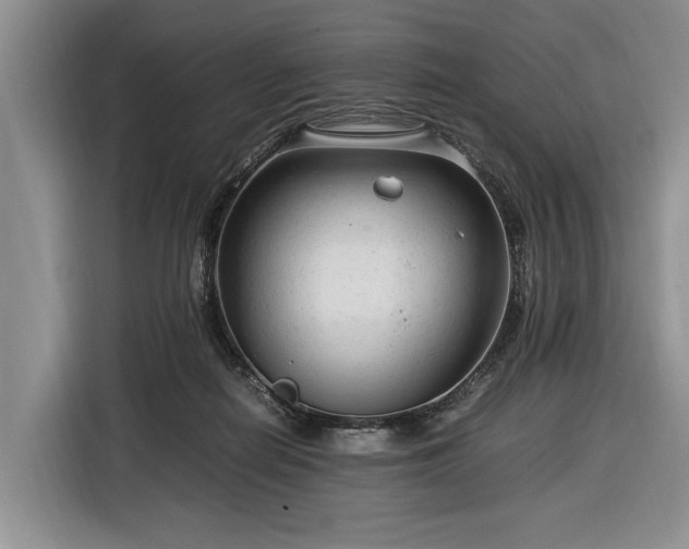 X0000116370266200912091244