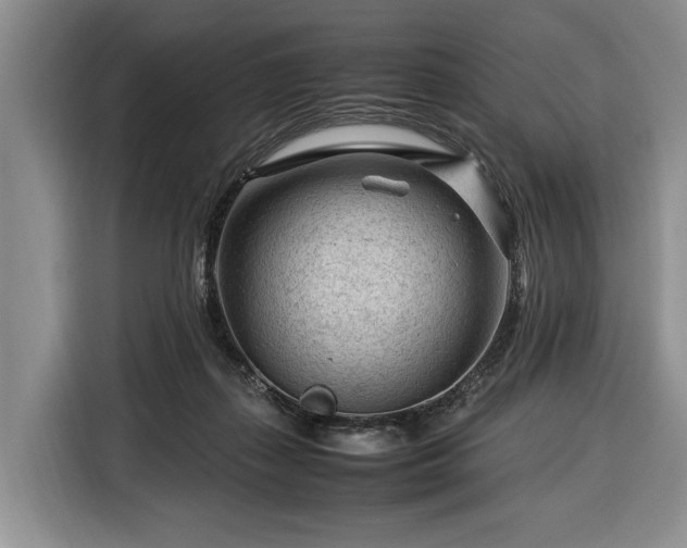 X0000116370267200912091244