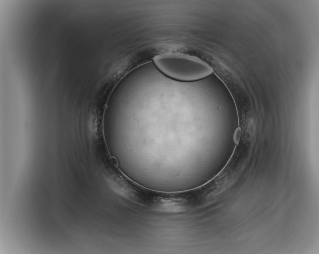 X0000116370268200912091244