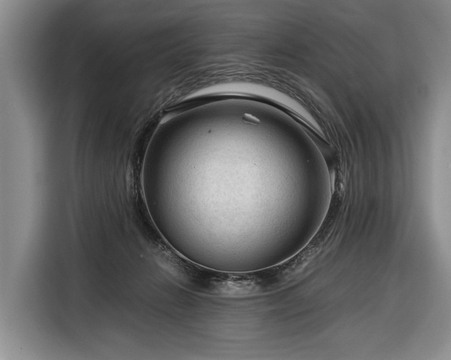 X0000116370270200912091244