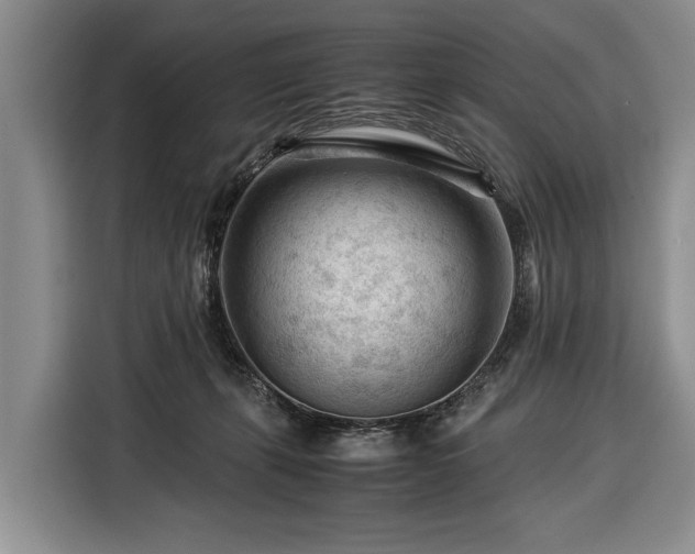 X0000116370271200912091244