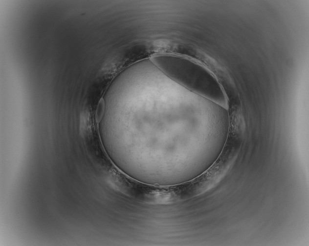 X0000116370272200912091244