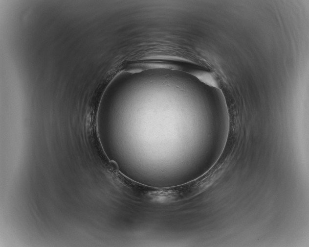 X0000116370273200912091244