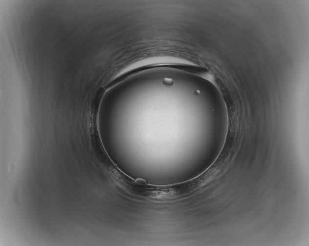 X0000116370274200912091244