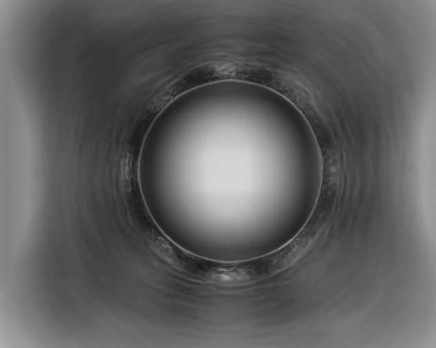 X0000116370275200912091244