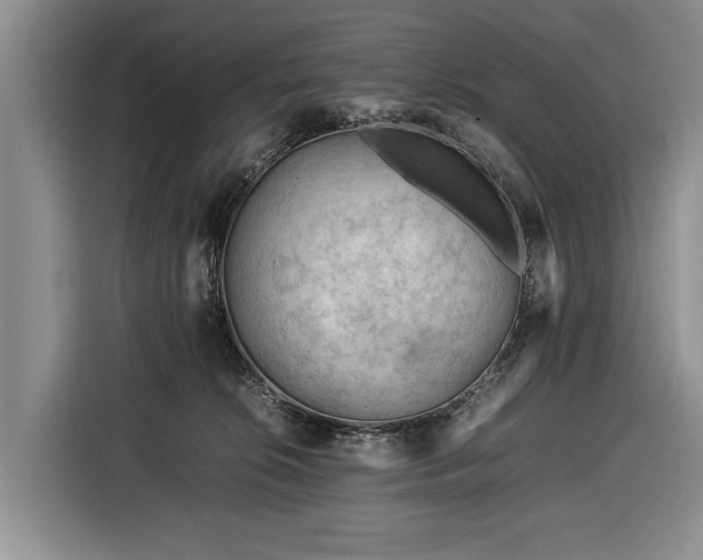 X0000116370276200912091244