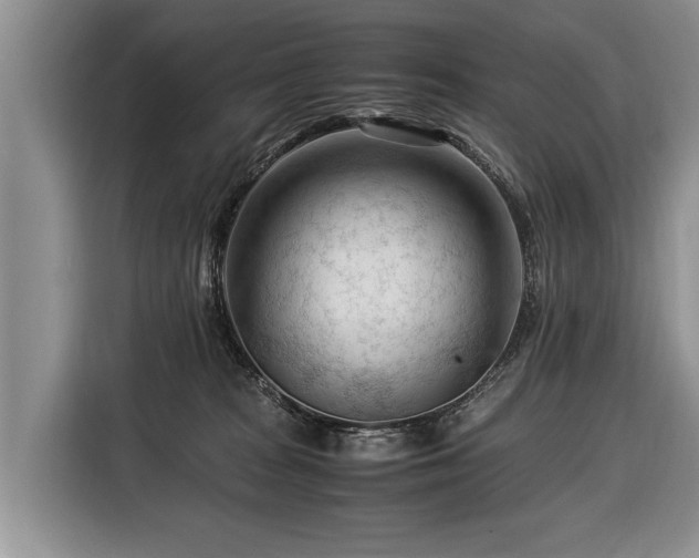 X0000116370277200912091244